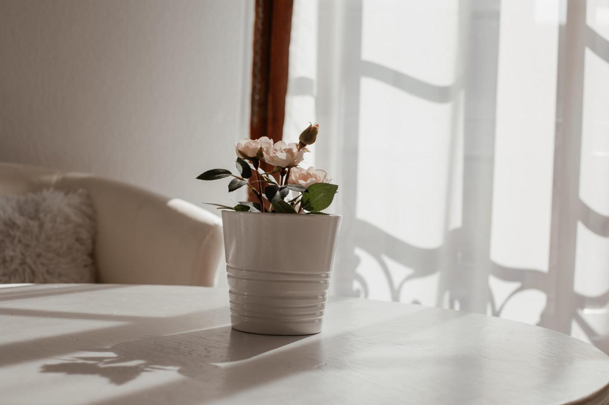 Studio Cocoon Hypercentre Carre D'Or De Strasbourg Ngoại thất bức ảnh