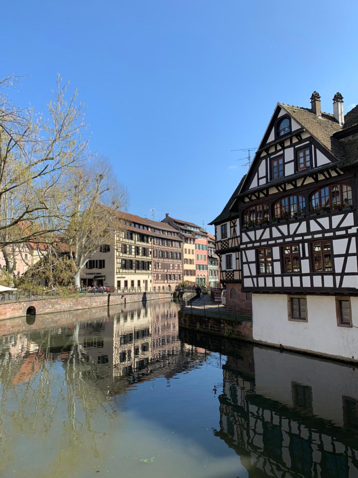Studio Cocoon Hypercentre Carre D'Or De Strasbourg Ngoại thất bức ảnh
