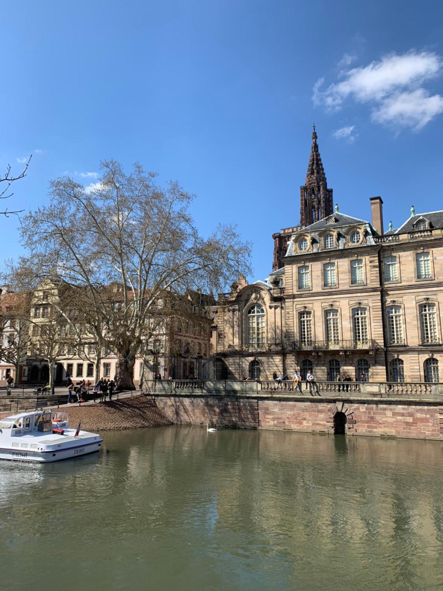 Studio Cocoon Hypercentre Carre D'Or De Strasbourg Ngoại thất bức ảnh
